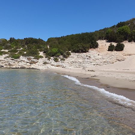 Villa Dunes 350M From The Sandy Beach Καλογριά Εξωτερικό φωτογραφία