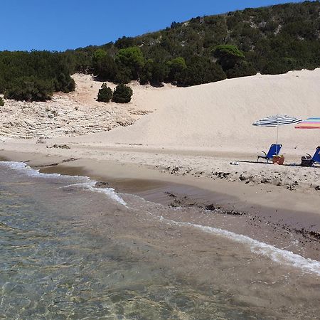 Villa Dunes 350M From The Sandy Beach Καλογριά Εξωτερικό φωτογραφία