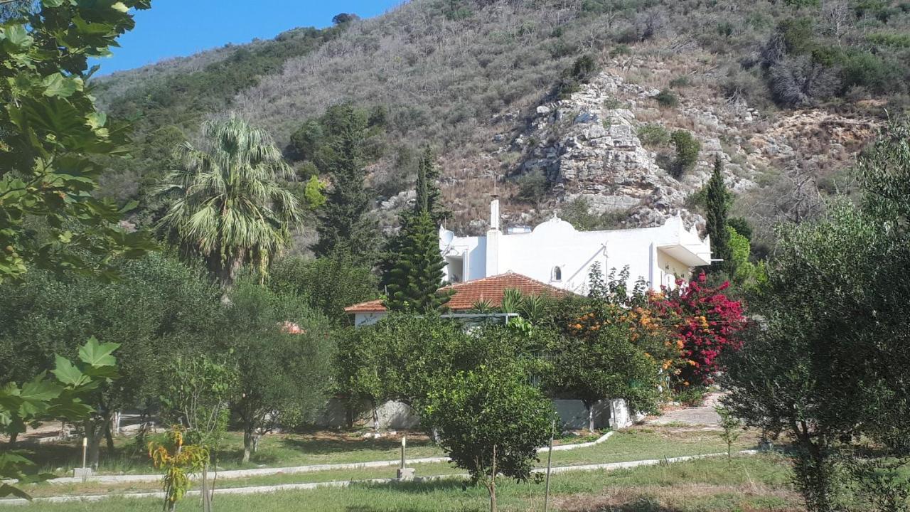 Villa Dunes 350M From The Sandy Beach Καλογριά Εξωτερικό φωτογραφία