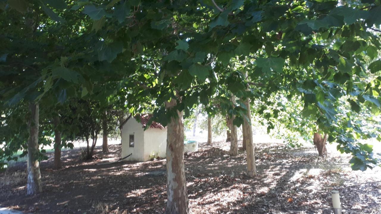 Villa Dunes 350M From The Sandy Beach Καλογριά Εξωτερικό φωτογραφία