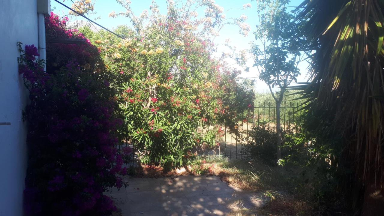 Villa Dunes 350M From The Sandy Beach Καλογριά Εξωτερικό φωτογραφία