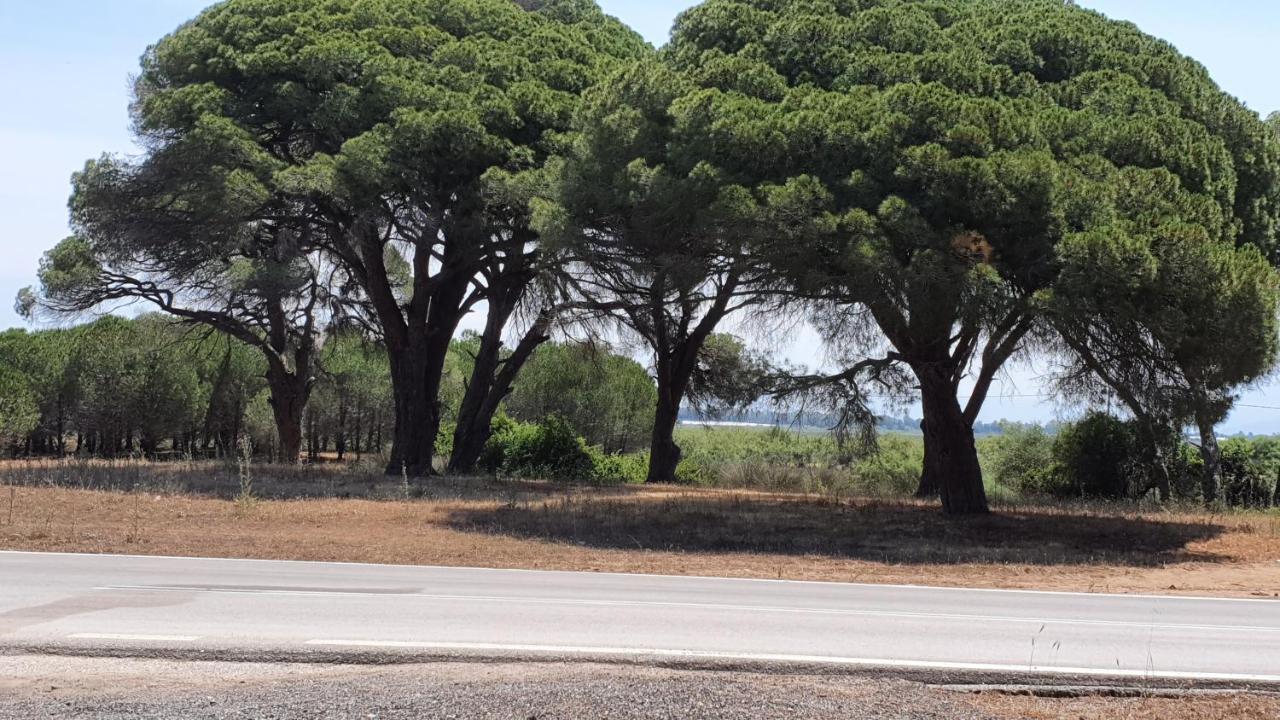 Villa Dunes 350M From The Sandy Beach Καλογριά Εξωτερικό φωτογραφία