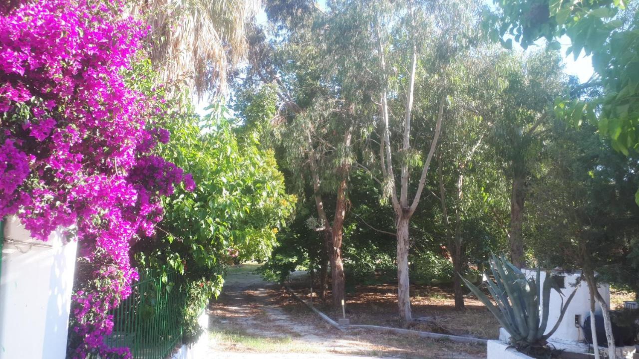 Villa Dunes 350M From The Sandy Beach Καλογριά Εξωτερικό φωτογραφία