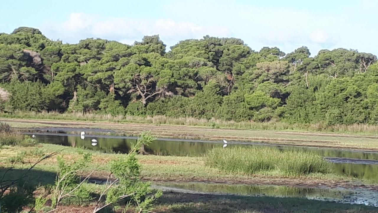 Villa Dunes 350M From The Sandy Beach Καλογριά Εξωτερικό φωτογραφία