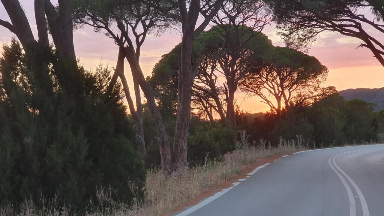 Villa Dunes 350M From The Sandy Beach Καλογριά Εξωτερικό φωτογραφία