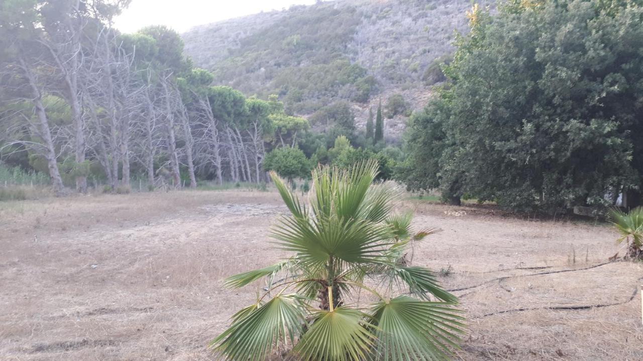 Villa Dunes 350M From The Sandy Beach Καλογριά Εξωτερικό φωτογραφία