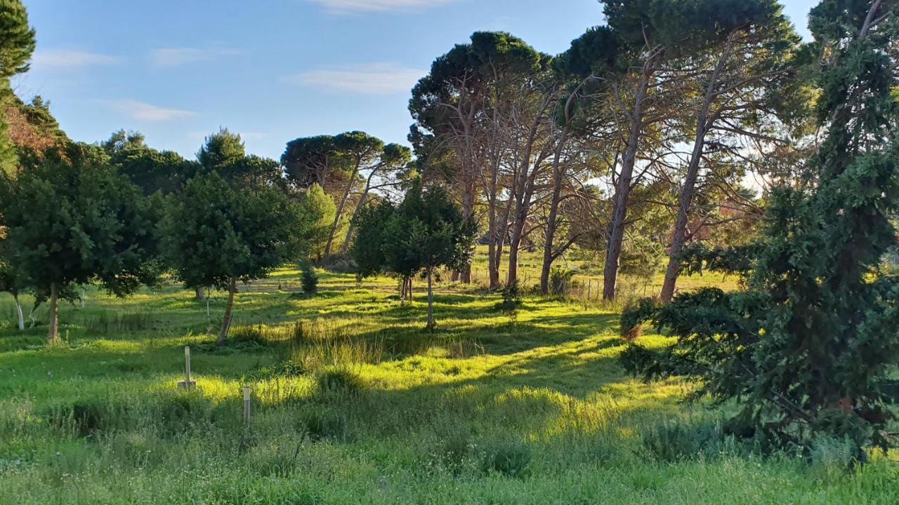Villa Dunes 350M From The Sandy Beach Καλογριά Εξωτερικό φωτογραφία