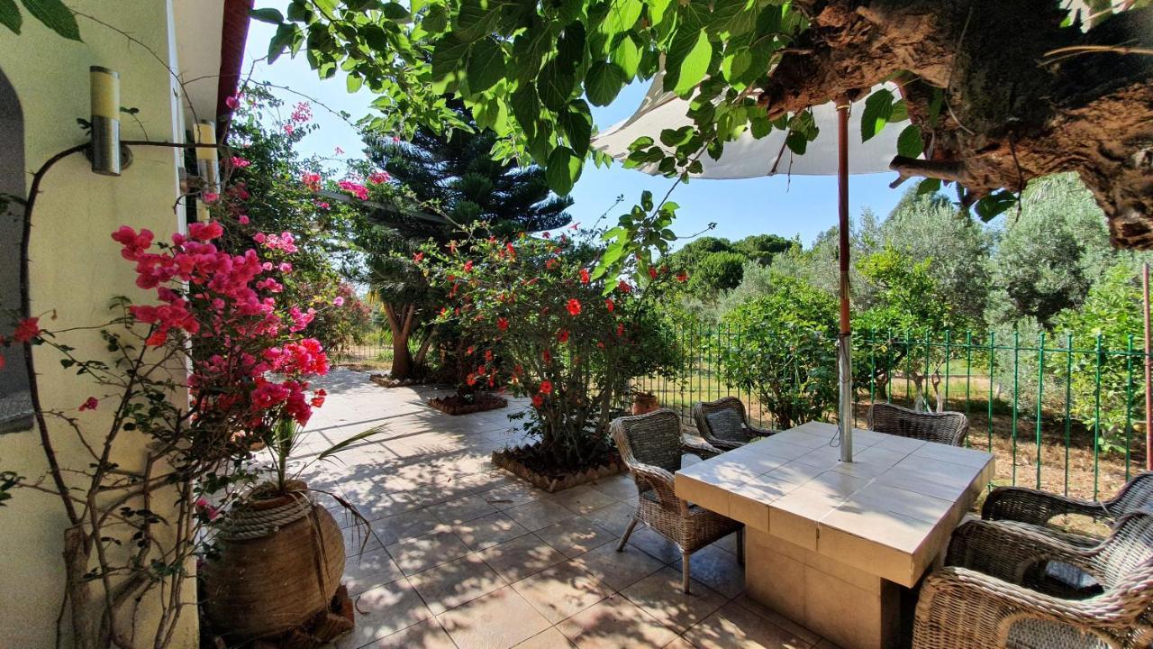 Villa Dunes 350M From The Sandy Beach Καλογριά Εξωτερικό φωτογραφία