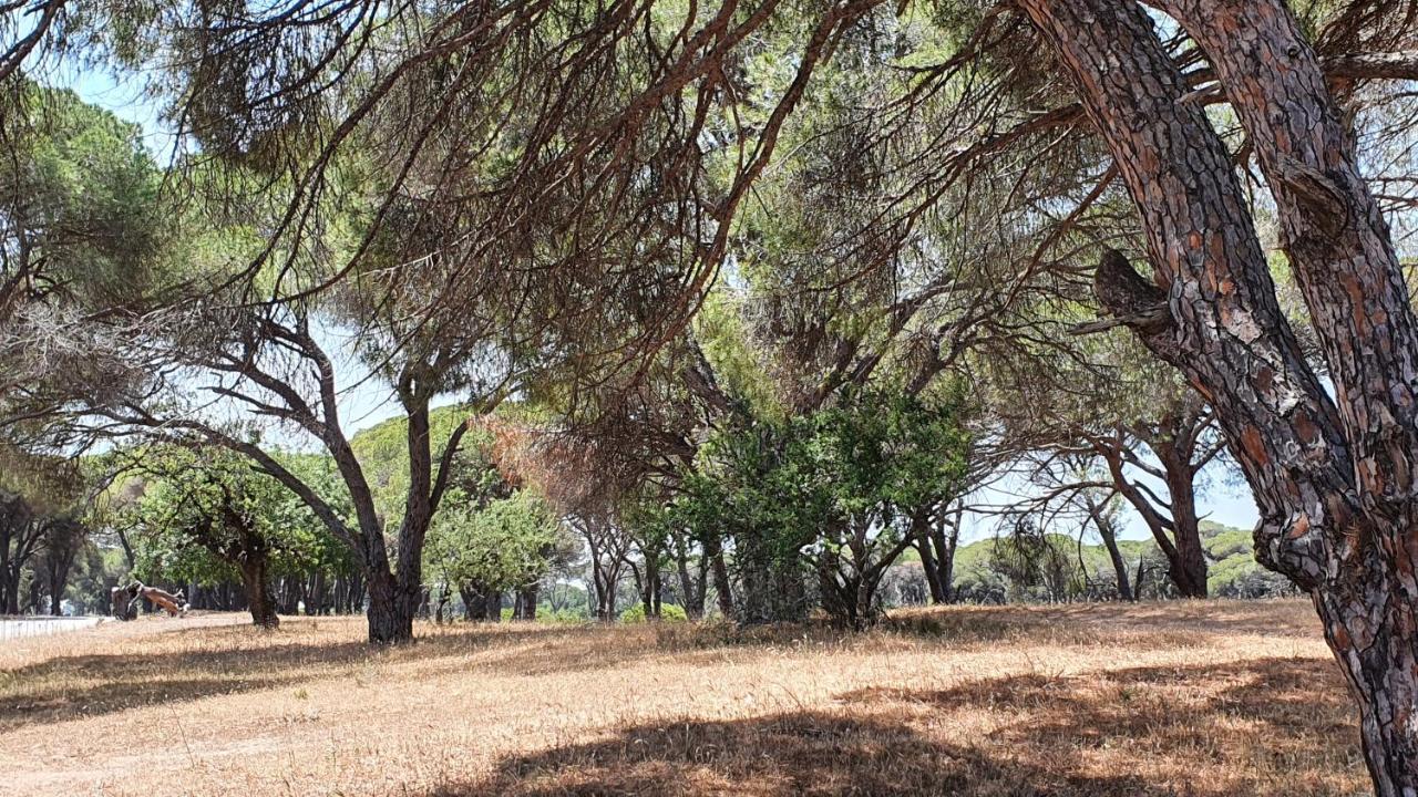 Villa Dunes 350M From The Sandy Beach Καλογριά Εξωτερικό φωτογραφία
