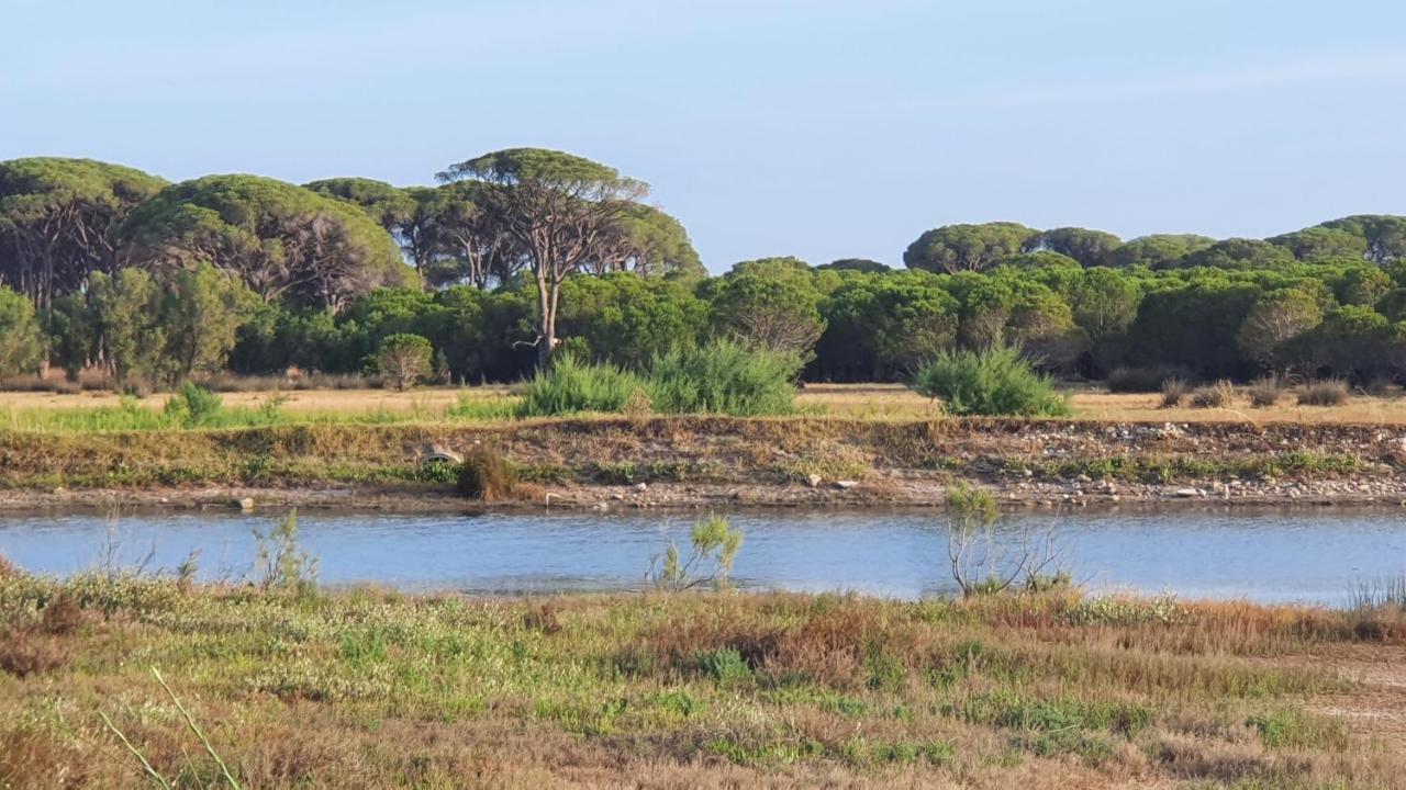 Villa Dunes 350M From The Sandy Beach Καλογριά Εξωτερικό φωτογραφία
