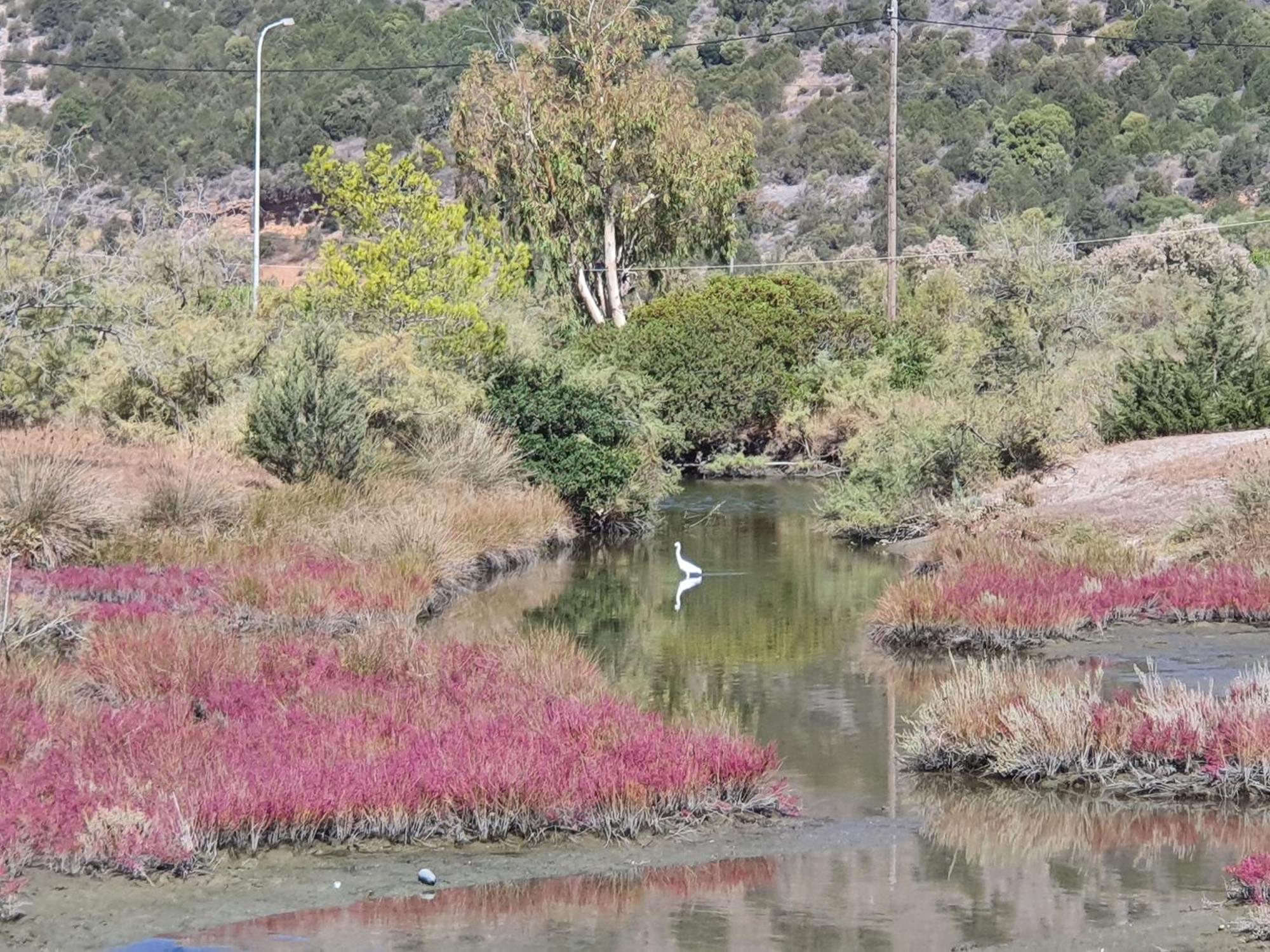 Villa Dunes 350M From The Sandy Beach Καλογριά Εξωτερικό φωτογραφία