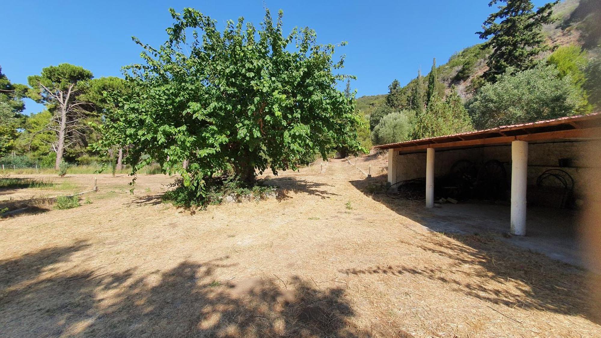 Villa Dunes 350M From The Sandy Beach Καλογριά Εξωτερικό φωτογραφία